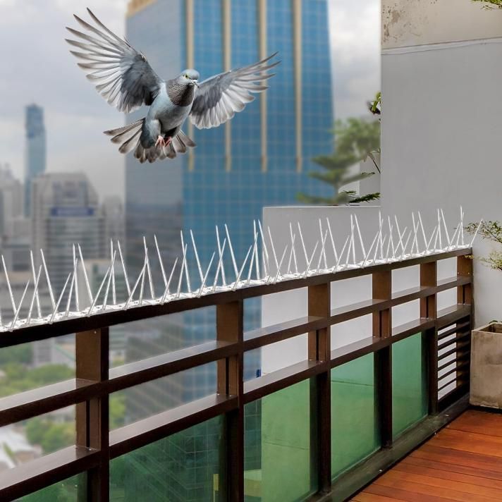 Pigeon Control Spikes (Set of 10) bqu5q7-dm