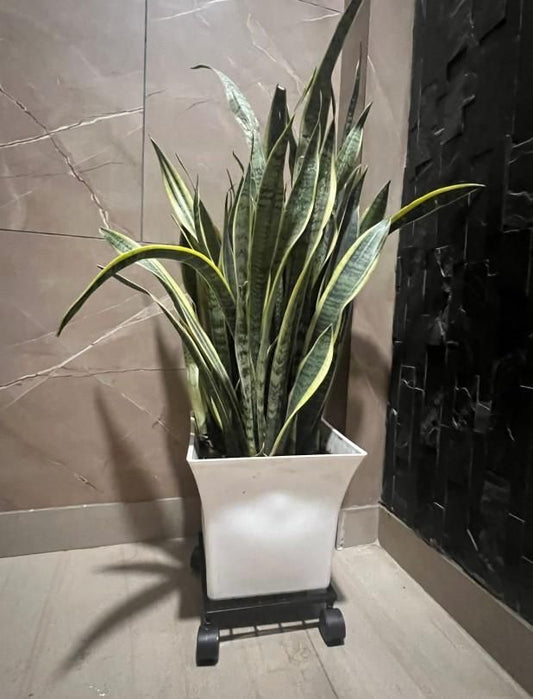 Wheel Pot Stand For Planters bqu5q7-dm
