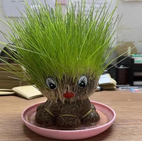 Octopus Grass Doll Grow Bag Pots bqu5q7-dm