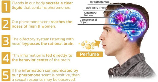 Scientifically Verified and Proven Effective Dopamine Ring bqu5q7-dm