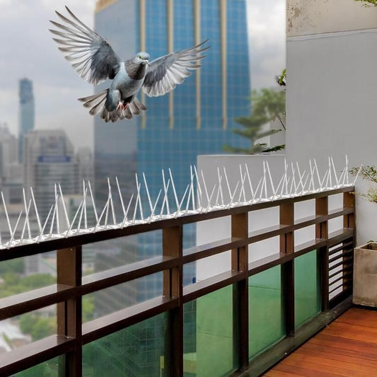 Pigeon Control Spikes (Set of 10) bqu5q7-dm